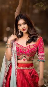 nabha natesh actress beautiful