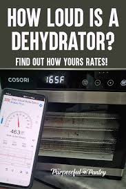How Loud Is A Dehydrator The