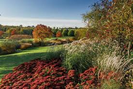 rhs garden hyde hall monty s guide