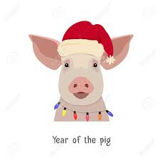 Vector Vector Pig Head In Winter New Year Clothing Hat And Christmas