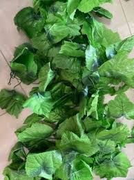 affordable vine leaf