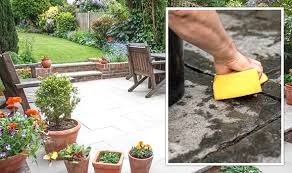 Clean Your Patio After Winter
