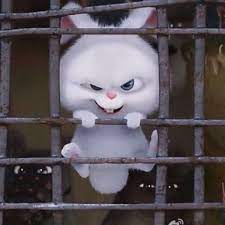 Mad snowball rabbit