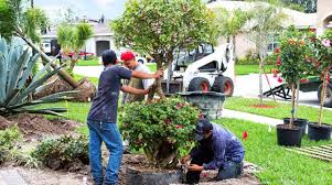 landscaper licensing requirements by