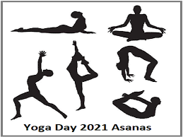 important yoga poses