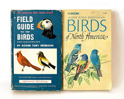 Then peterson field guide coloring books: Pin On Botanical Nature Vintage Art