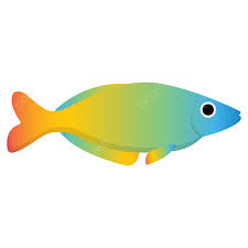 rainbowfish fish rainbow background