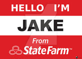 Image result for state farm
