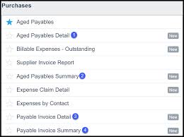How To Create An Accounts Payable Aging Report In Xero