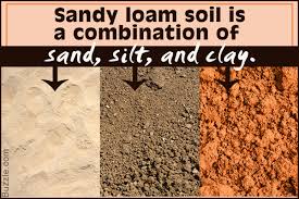 sandy loam soil characteristics every