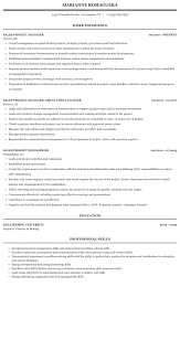 Technical project managers walk the line between project management and information technology. Sales Project Manager Resume Sample Mintresume