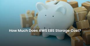 how much does aws ebs storage cost nops