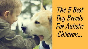 best dog breeds for autistic children