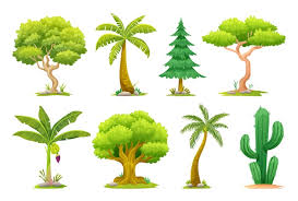 diffe types of trees ilration