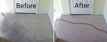 carpet cleaning local carpet cleaners