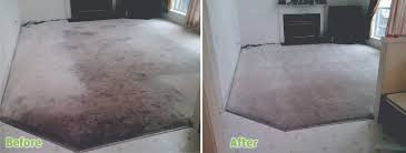 carpet cleaning davidson nc cleaner