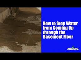 Basement Floor