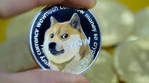 But the billionaire's appearance on primetime television appeared to have the opposite effect, with doge plunging sharply as the broadcast drew to. Rtvkonwfbduyxm