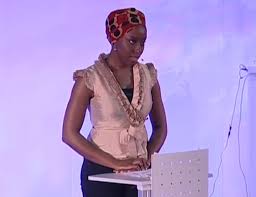 Speech Video on The Danger Of A Single Story from Chimamanda Adichie at TED  - University Webinars