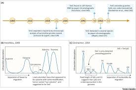 dna methylation a historical