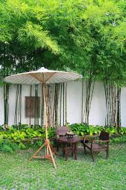 The highlight of this garden is the refreshing atmosphere. 10 Bamboo Landscaping Ideas Garden Lovers Club