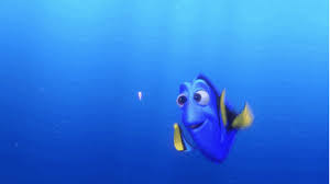 See more ideas about dory, finding dory, finding nemo. Finding Nemo Trending Gifs Page 2
