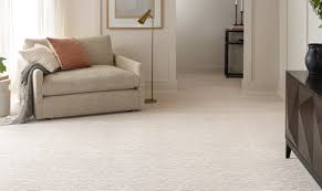 carpet cleaning services in san jose
