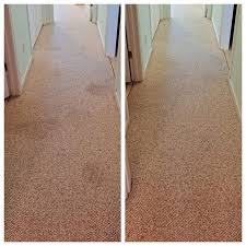 carpet and upholstery cleaning gallery