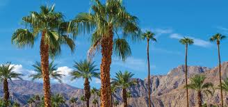 greater palm springs this february