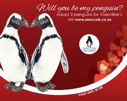 How to get a free golden penguin new adopt me penguin update! Adopt Two Penguins For Valentine S Day Cape Point Route Blog