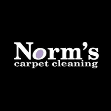 9 best aurora carpet cleaners