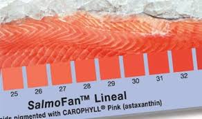 Salmon Dsm Color Fans Solutions Products Dsm