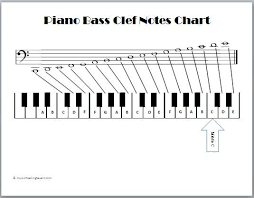 Bass Notes Chart Piano Note Finder Stock Vector