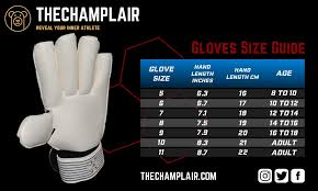 Do not include the thumb. 10 Best Goalkeeper Gloves 2021 In Depth Reviews