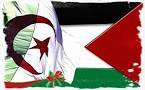 كيف تعرف أنك جزائري بقلب فلسطيني؟ Images?q=tbn:ANd9GcTjtp7SVj33hWzgKT9q7DhOO_h8v7jElKFUJvNbrlf01fYhRUnRAU23jnA