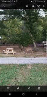 Wytheville virginia campgrounds and rv parks including gps, campsites, rates, photos, reviews, amenities, activities, policies and events. Deer Trail Park And Campground Updated 2021 Reviews Photos Wytheville Va Tripadvisor