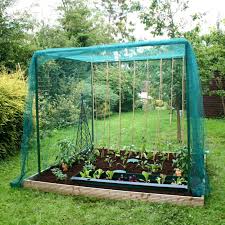 Vegetable Cages With Bird Netting