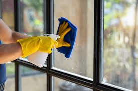 How To Clean Windows Freedom Maids