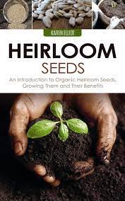 organic heirloom seeds growing them