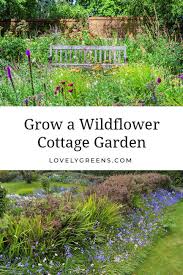 How To Grow A Wildflower Cottage Garden