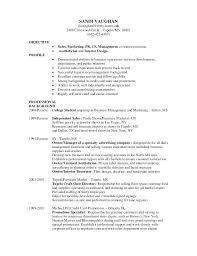 Resume Sample Professional Background Examples Samples Netdevilz Co
