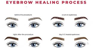 powder brows healing process
