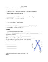 Dna gizmo answer key, behavioral interviews are really a new style of interviewing. 33 Cell Division Mitosis And Cytokinesis Worksheet Answers Free Worksheet Spreadsheet