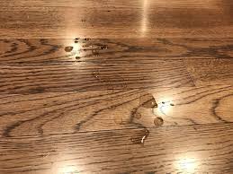 how to deep clean hardwood floors 5