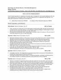 Real Estate Agent Resume Example New Professional Templates Mychjp