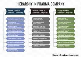 Hierarchy In Pharma Company Army Company Structure