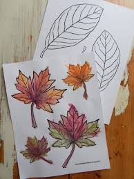 Hgtv.com knows there are a few fall shades people return to time and time again, but this autumn, a few unexpected color palettes are here to shake up your space. Fall Leaf Coloring Pages Perfect For Autumn Nature Inspired Learning