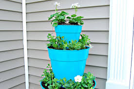 outdoor planter arrangement ideas 18