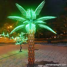 Green And Brown Lighted Palm Tree