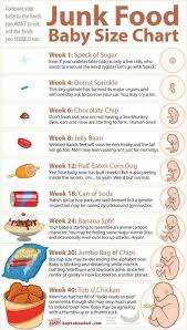Bahaha One Day Baby Size Chart Baby Chart Baby Weeks